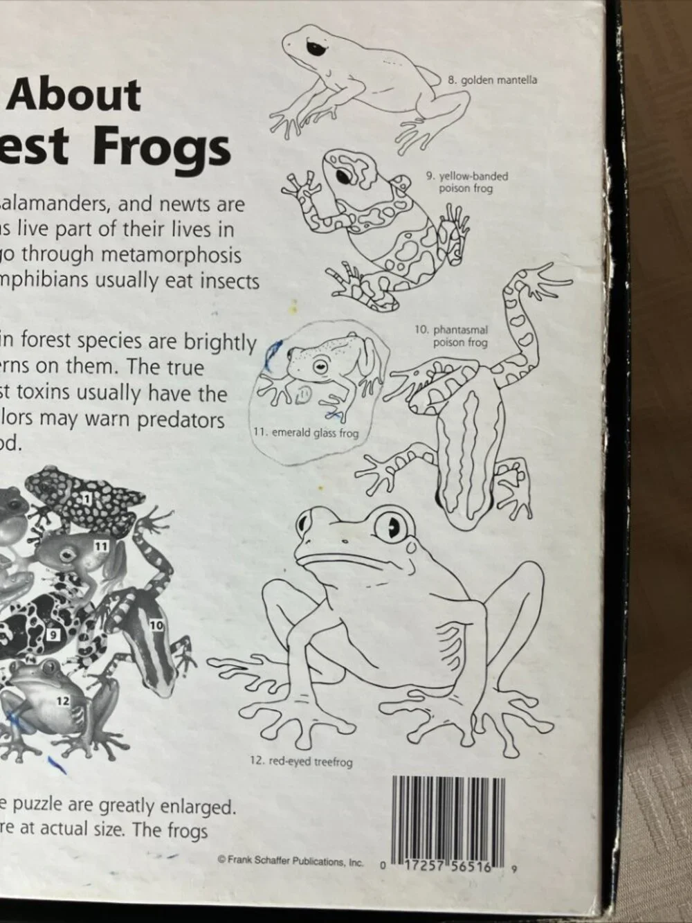 1996 Rainforest Frogs Floor Puzzle 50 Large Pieces 2'x3' Ages 4 and Up, EUC